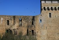 4b_IMG_1250.jpg