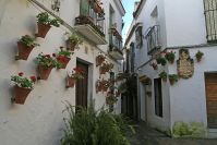 Cordoba