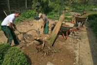 Die Gartenbauer - Tag 1