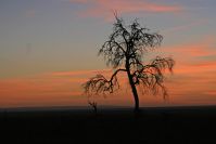 Sonnenaufgang