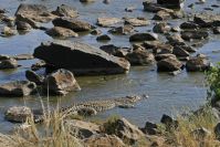 am Fluss