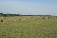 Kenya_2005_g066.jpg