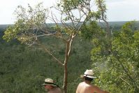 Cobá