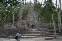 Cobá