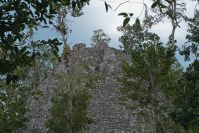 Cobá