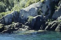 Lake Taupo