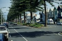 Napier