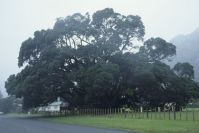 East Cape