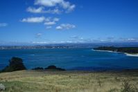 Tauranga