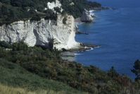 Cathedral Cove
