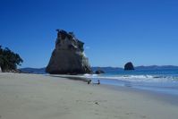 Cathedral Cove