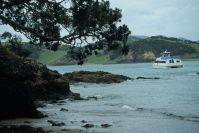 Bay of Islands