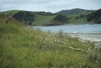 Bay of Islands