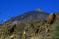 El Teide