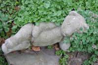 Der Faulpelz im Blütenbett