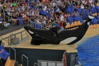 Loro Parque