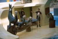 Loro Parque