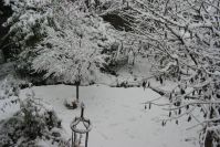 Auch im Schnee hat der Garten noch seinen Reiz