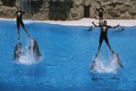 Loro Parque