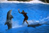 Loro Parque