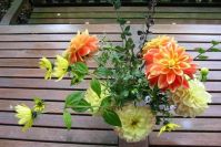 Die letzten Dahlien landen in der Vase