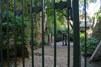 Avignon